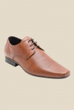 RedTape Tan Derby Shoes